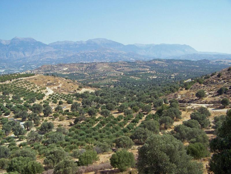 Villas Alexandros Каламаки Номер фото